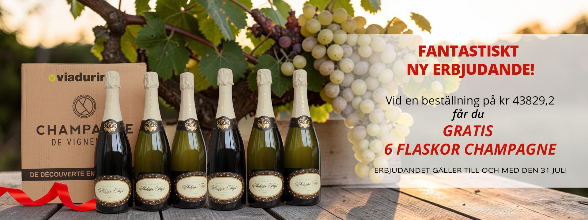 6 FLASKOR CHAMPAGNE SOM GÅVA!