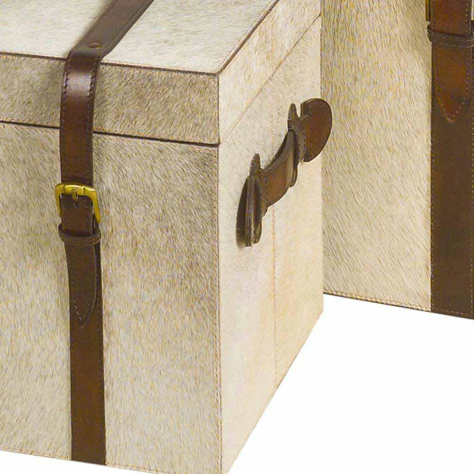 2 design i grå ponny Ritini stammar, stora och små Viadurini