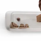 Dekorationselementet två spotlights Amelia Ferroluce craft Viadurini