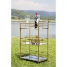 Matvagn med järnstruktur guldfinish - Viviana Viadurini