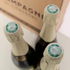 Champagne Cuvee exklusivt för Viadurini 3-flaskpaket "Champagne de Vignerons" Viadurini