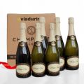 Champagne Cuvee exklusivt för Viadurini förpackning med 6 flaskor "Champagne de Vignerons"