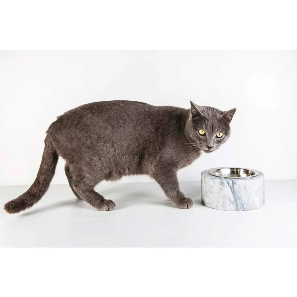 Hundar och katter skål i vit Carrara marmor tillverkad i Italien - Ciotta Viadurini