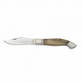 Maresciall kniv med handgjord fjäderstängning tillverkad i Italien - Morzo