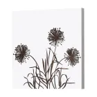 Sammansättning av 4 paneler med hortensior, allium och thyfa tillverkade i Italien - beräkning Viadurini