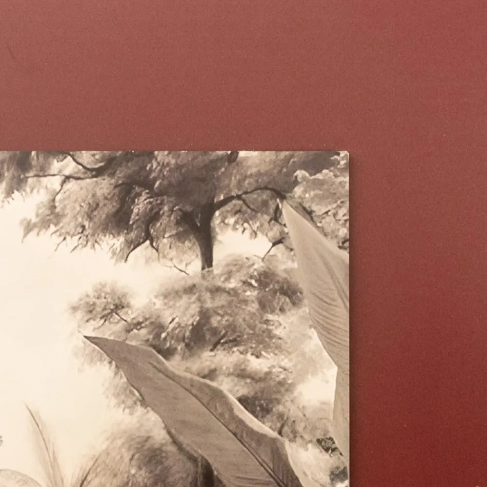 Sammansättning av trämålningar med elefanttryck gjord i Italien - Patagonien Viadurini