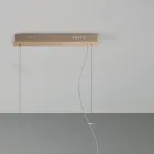 Hänglampa i guldmålad metall och blåst glas - Birga Viadurini