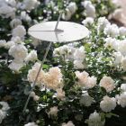 Trädgårdsgolvlampa aluminium vit design med näckrosblad - Cipriam Viadurini