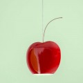 Upphängd keramisk lampa i körsbär - frukt Aldo Bernardi