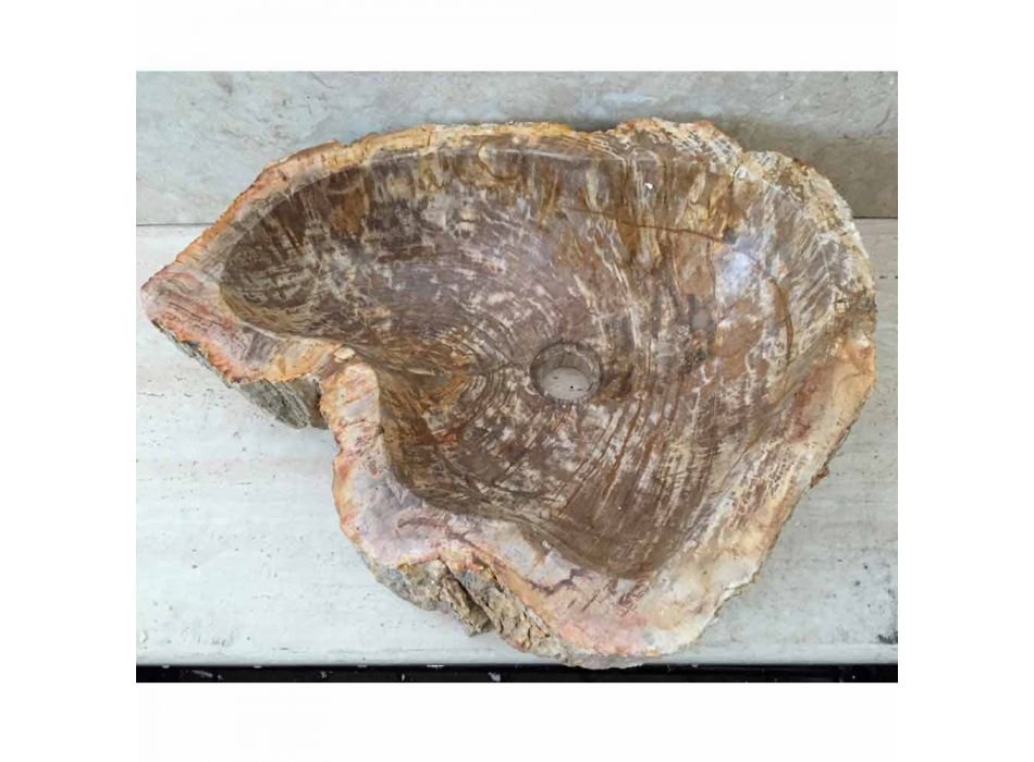 Design badrumsavfall i fossilt trä Star mini, unikt stycke Viadurini