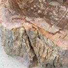 Design badrumsavfall i fossilt trä Star mini, unikt stycke Viadurini