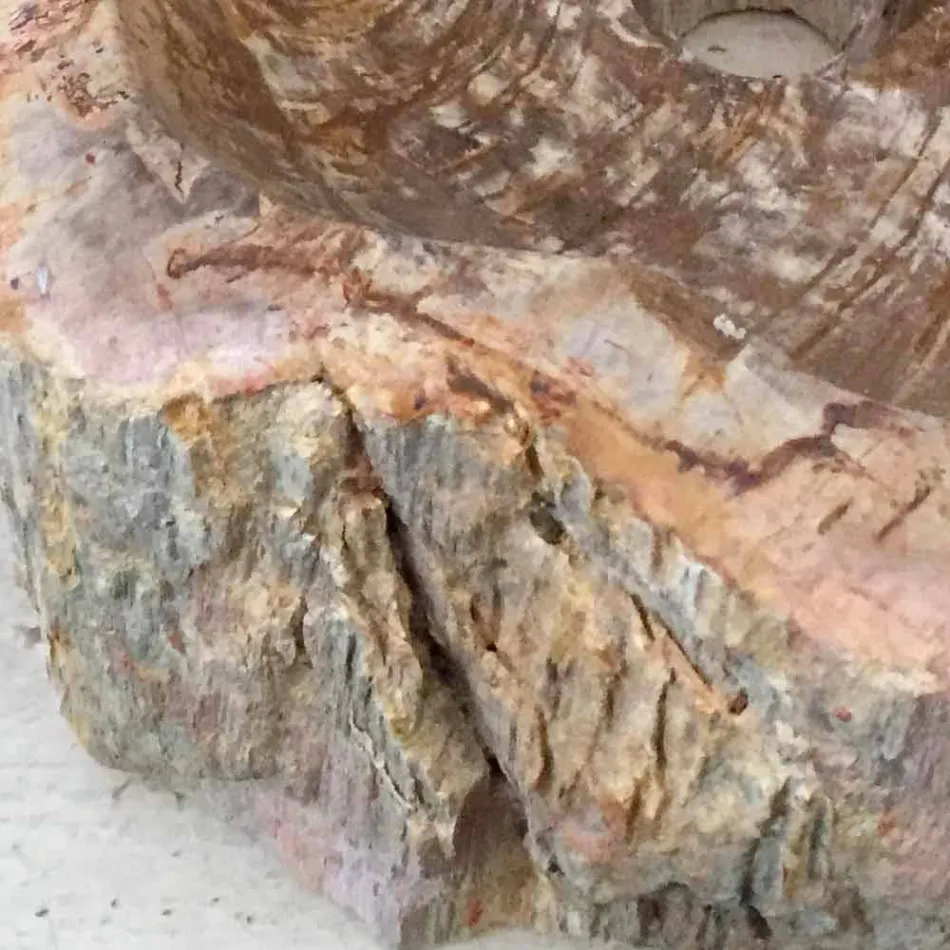 Design badrumsavfall i fossilt trä Star mini, unikt stycke Viadurini