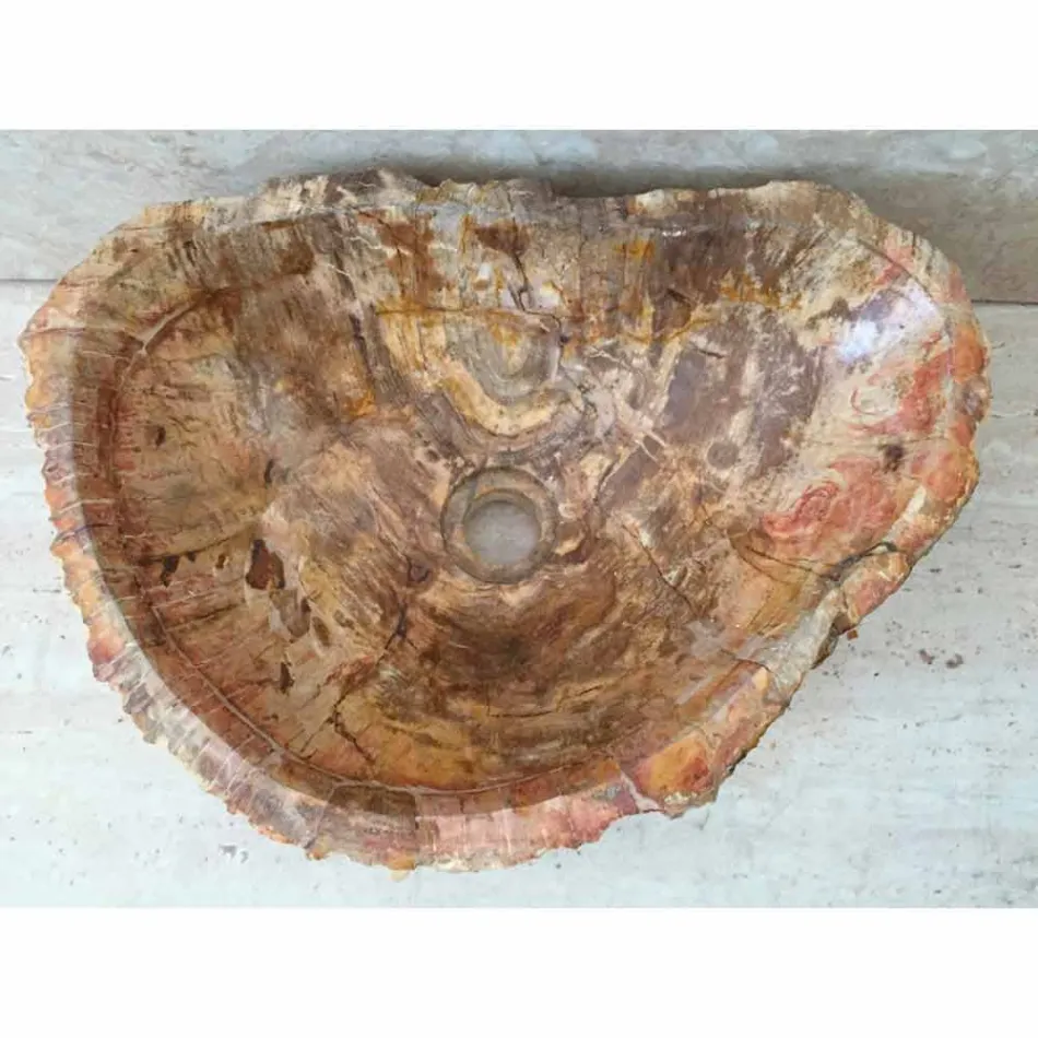 Stående stående tvättställ av fossilt trä, unikt design Viadurini