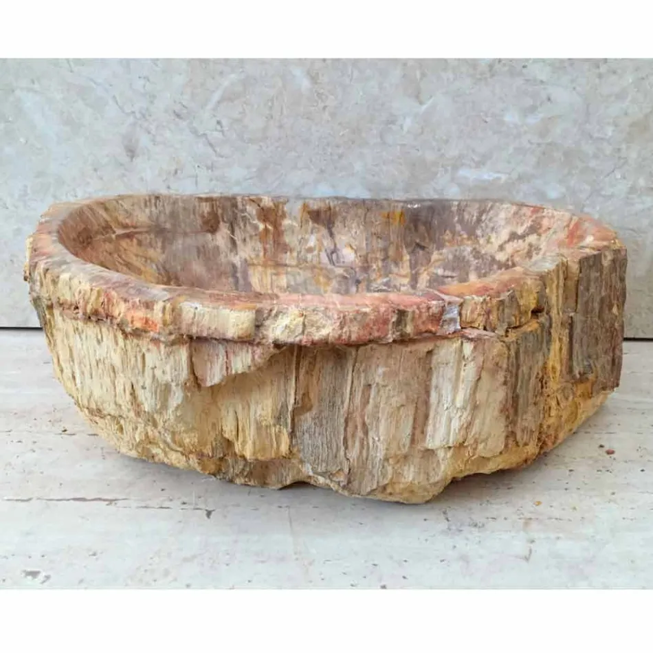 Stående stående tvättställ av fossilt trä, unikt design Viadurini