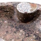 Marmor bänkskål med fossil - Burgeo Viadurini