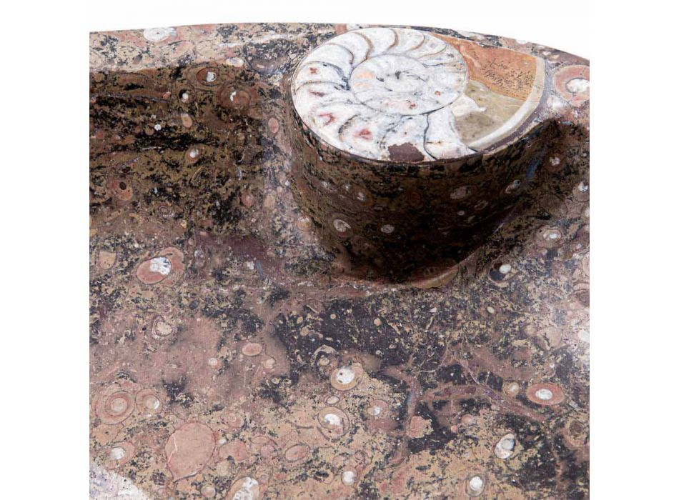 Marmor bänkskål med fossil - Burgeo Viadurini