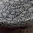 Design keramiska bänkskivan gjord i Italien Djur Viadurini