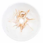 Designstativ Tvättställ i gyllene harts - Dogliola Viadurini