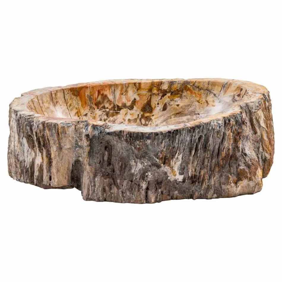 Handgjord sink i fossilt trä, Neviglie Viadurini