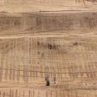 Skänk i akaciaträ och stål 2 dörrar och 3 lådor Homemotion - Aimune Viadurini