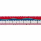 Enkelmadrass i kvalitetsminne 25 cm högt Made in Italy - Platinum Viadurini