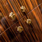 Modern mobil behållare med 4 dörrar i polerad ebony wood Ada Viadurini