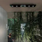 Taklampa med plan glasplatta med sänkningar - Kora Viadurini