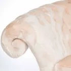 fåtölj bearbetas vadderad fuskpäls Balma Viadurini