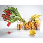 Modern färgad fruktskål i plexiglas tillverkad i Italien - Multifrukt Viadurini