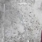 Paraplystativ i transparent laserdekorerad akrylkristall - Versio Viadurini