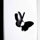 Svart plexiglasparaplyställ med 3D-gravyrer och dekorationer, modern design - Farfo Viadurini