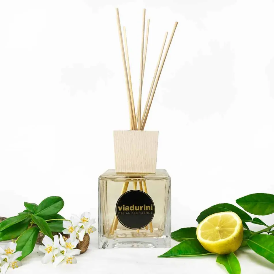 Läder Fragrance Room Air Freshener 500 ml med pinnar - Lavecchiavenezia Viadurini