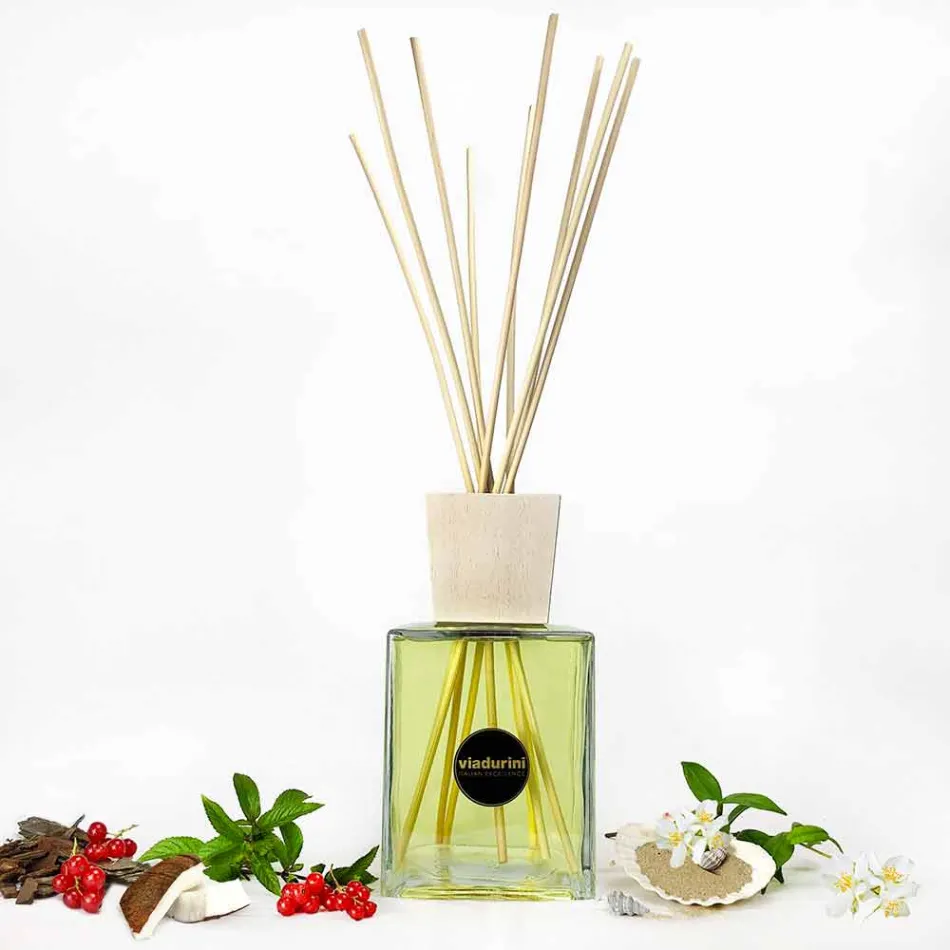 Vanilj och Mou Ambient Fragrance 2,5 Lt med pinnar - Sabbiedelsalento Viadurini