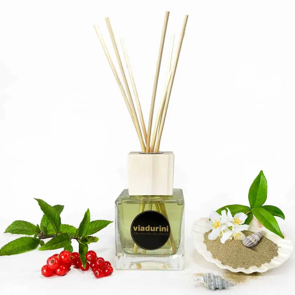 Ambient Fragrance Vanilla and Mou 200 ml med Sticks - Sabbiedelsalento Viadurini