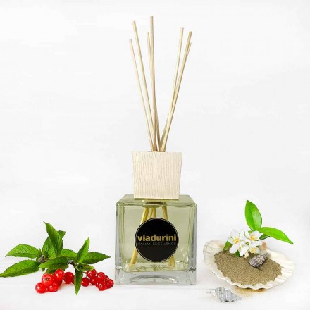 Vanilj och Mou Room Fragrance 500 ml med pinnar - Sabbiedelsalento Viadurini