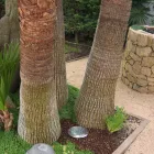 Rund spotlight med LED utomhus i rostfritt stål - Dakota Viadurini