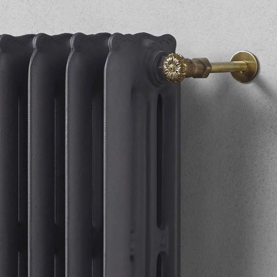 Design Radiator 5 släta element i gjutjärn från marken upp till 1062 W - barock Viadurini
