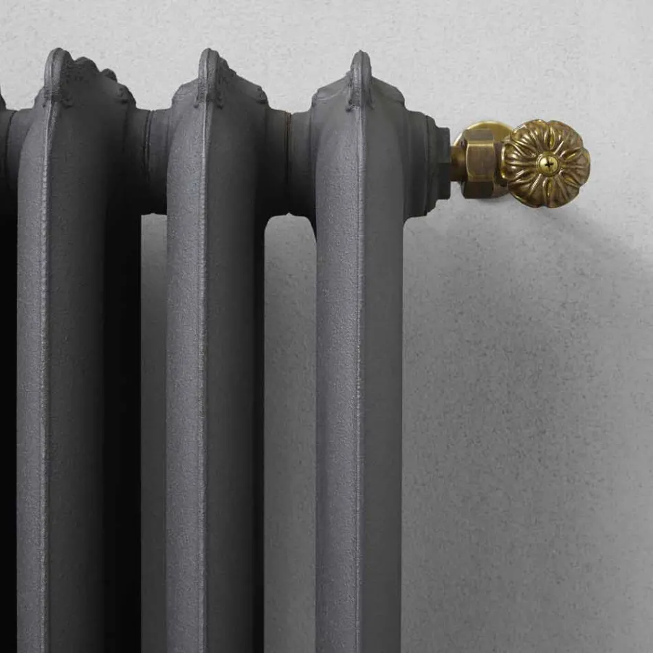 Design Radiator 5 släta element i gjutjärn från marken upp till 1062 W - barock Viadurini