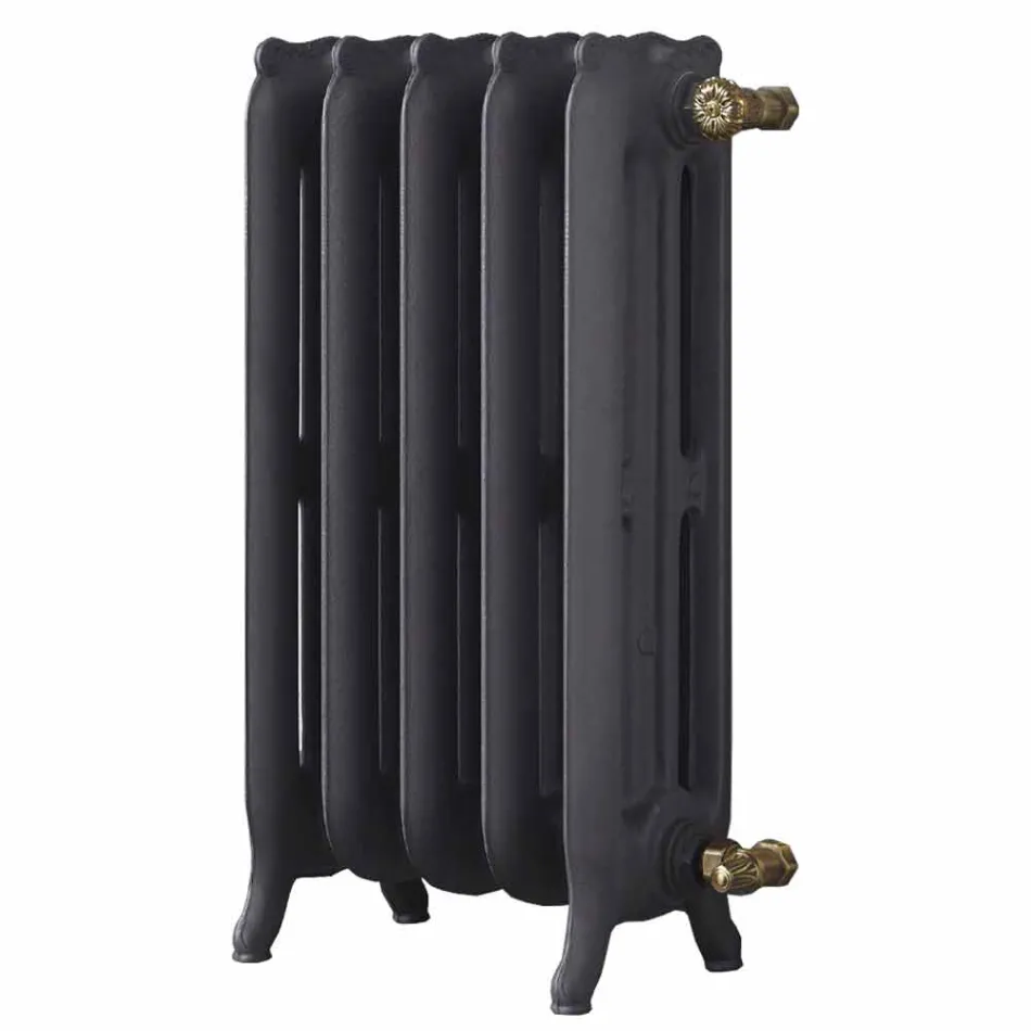 Design Radiator 5 släta element i gjutjärn från marken upp till 1062 W - barock Viadurini