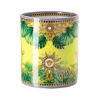 Rosenthal Versace Jungle Animalier Porslinsvas - Animalier Viadurini