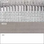 Utomhusstol med armstöd Stapelbar stoppad H 78cm - Smart av Varaschin Viadurini