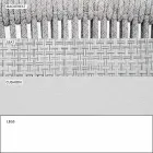 Utomhusstol med armstöd Stapelbar stoppad H 78cm - Smart av Varaschin Viadurini