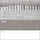 Utomhusstol med armstöd Stapelbar stoppad H 78cm - Smart av Varaschin Viadurini