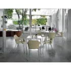 Stapelbar metall- och polypropenstol Tillverkad i Italien, 4 delar - karamell Viadurini