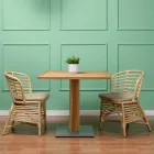 Trädgårdsstol i naturrotting med dyna ingår - Torvi Viadurini