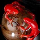 Färgad glasprydnad i form av ett ägg med gecko som tillverkas i Italien - Huevo Viadurini