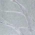 Rektangulär väggspegel tillverkad av gran ved tillverkad i Italien Achille Viadurini