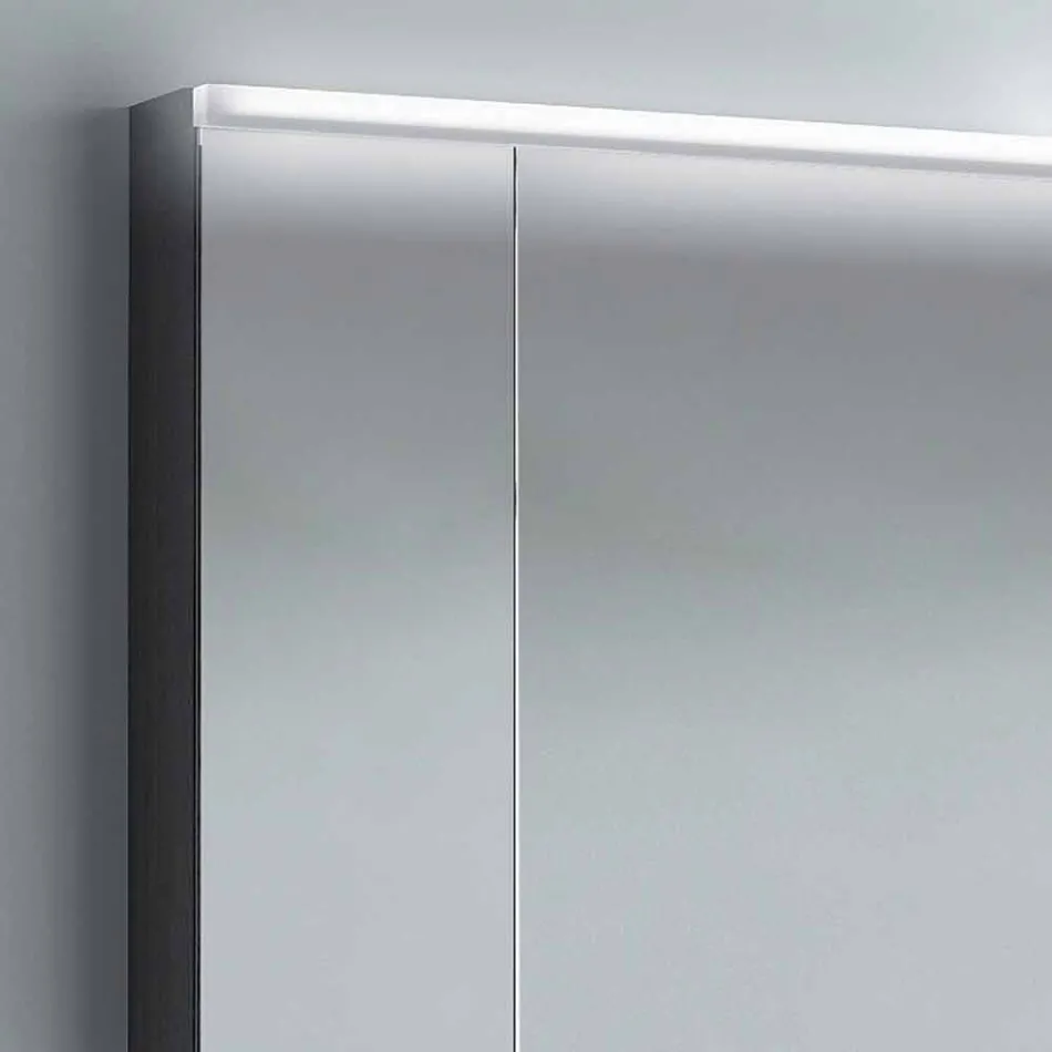 Spegelskåp 2 dörrar modern design, LED-belysning, Carol Viadurini