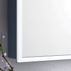Spegel 2 moderna containerdörrar, LED-belysning, Adele Viadurini