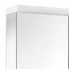 Modern behållarspegel med 2 dörrar i silvermålad aluminium - Alfio Viadurini